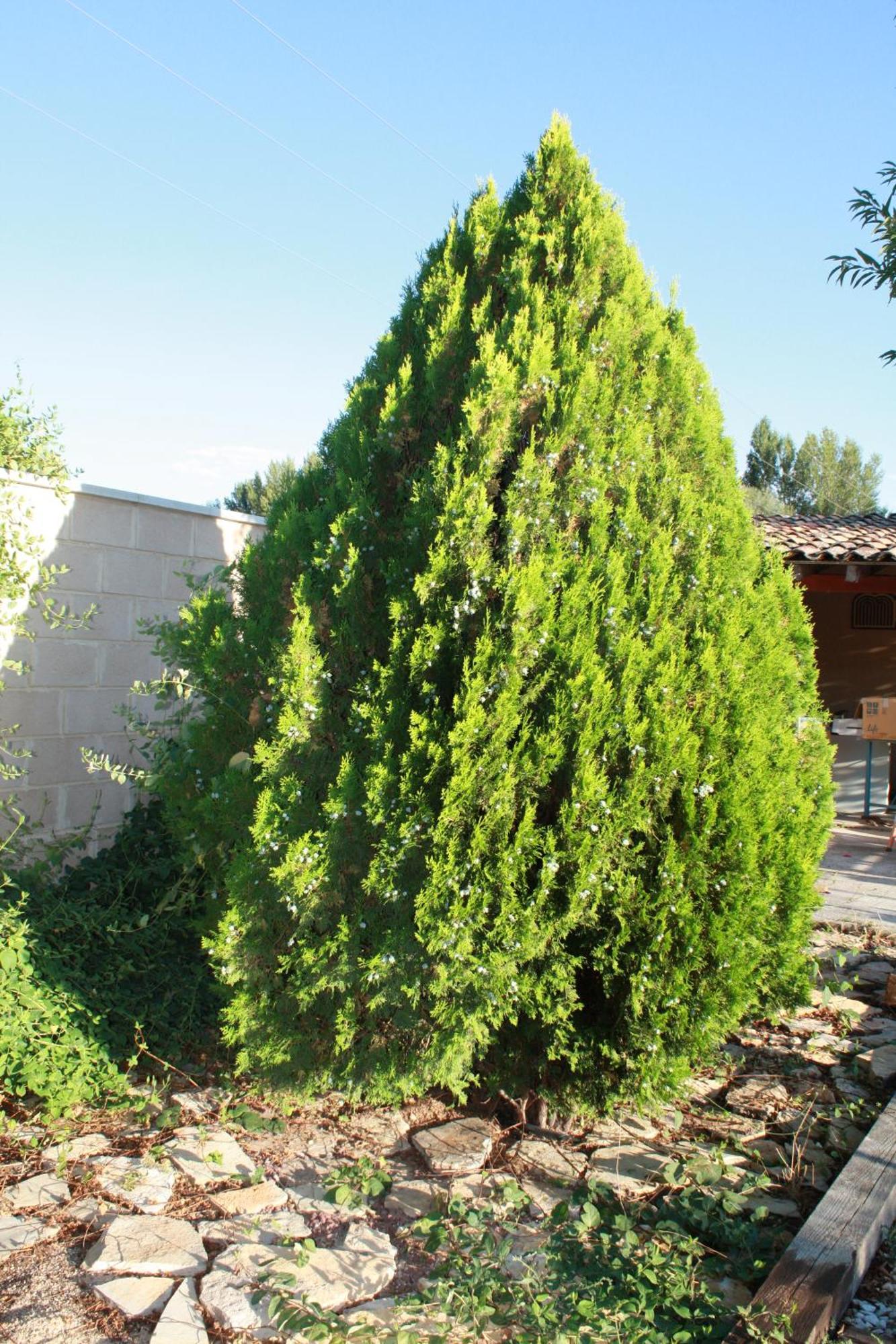 Loft La Buena Vida Apartment Penaranda de Duero Luaran gambar