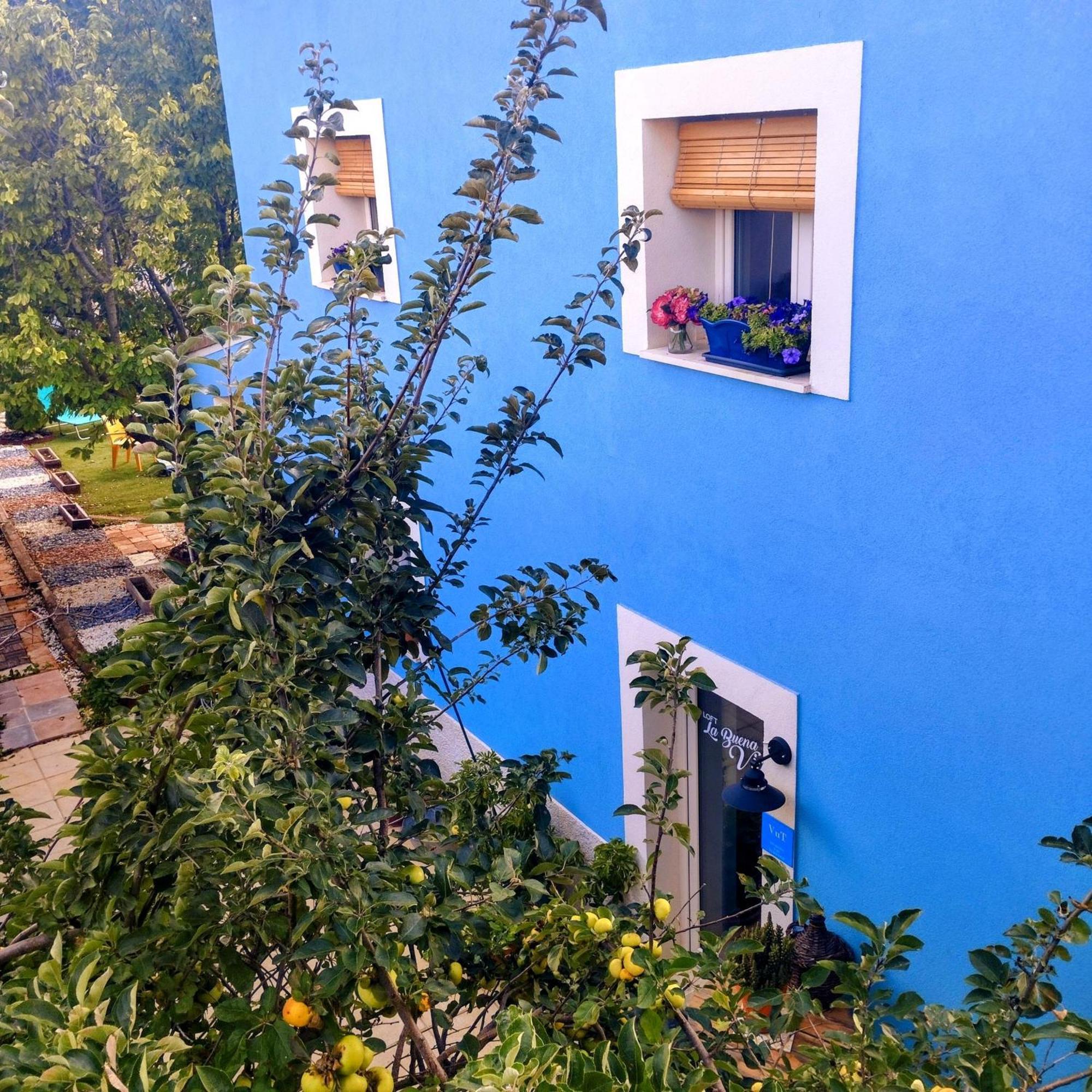Loft La Buena Vida Apartment Penaranda de Duero Luaran gambar